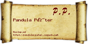 Pandula Péter névjegykártya