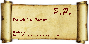 Pandula Péter névjegykártya